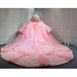 Mumuleo 2025 Pink Quinceanera Dresses With Derachable Tail Vestidos De Xv Aos 2025 Vestidos De 15 Rosados 15 Year Old Dresses