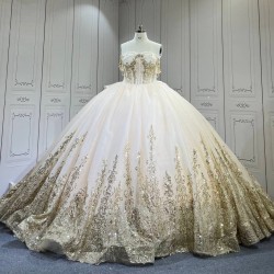 Mumuleo Champagne Quinceanera Floor-Length Ball Gown Chapel Train Modern Satin Lace Print Natural Waist Teenagers Dress 2026