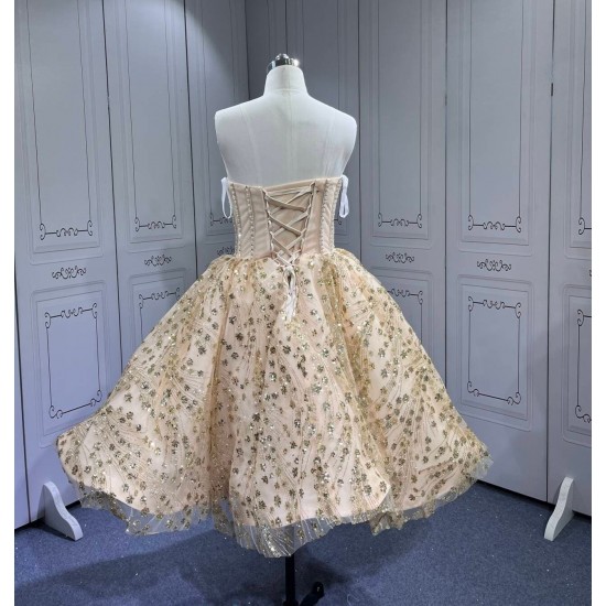 Mumuleo Glitter Champagne Quinceanera Dress Vestidos De Xv Anos Rosa Pink Fifteen Year Old Dress Vestidos De Quince Anos