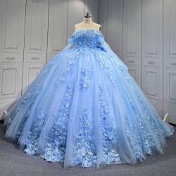 Sky Blue Quinceanera Dresses 2025 With Flowers Vestidos De 15 Aos Fiesta Azul Economic Quinceaera Dresses Verde Esmeralda