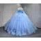 Sky Blue Quinceanera Dresses 2025 With Flowers Vestidos De 15 Aos Fiesta Azul Economic Quinceaera Dresses Verde Esmeralda