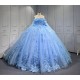 Sky Blue Quinceanera Dresses 2025 With Flowers Vestidos De 15 Aos Fiesta Azul Economic Quinceaera Dresses Verde Esmeralda