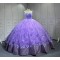 Vestidos De 15 Aos Economics Deademas De Quinceaeras Vestidos 2025 De Para Quincera Dress Lila Lavender Quinceanera Dresses