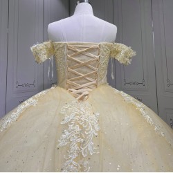 Customized 2024 Luxury Champagne Princess Ball Gown Quinceanera Dress Appliques Birthday Party Sweet 15 Vestidos De 15 Anos