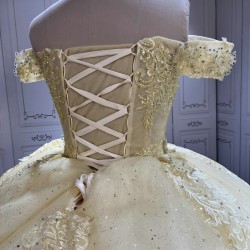 Fashionable Champagne Quinceanera Dresses for Girls Lace Appliques Vestido De 15 Anos Custom Made